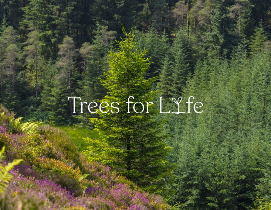 Trees for Life